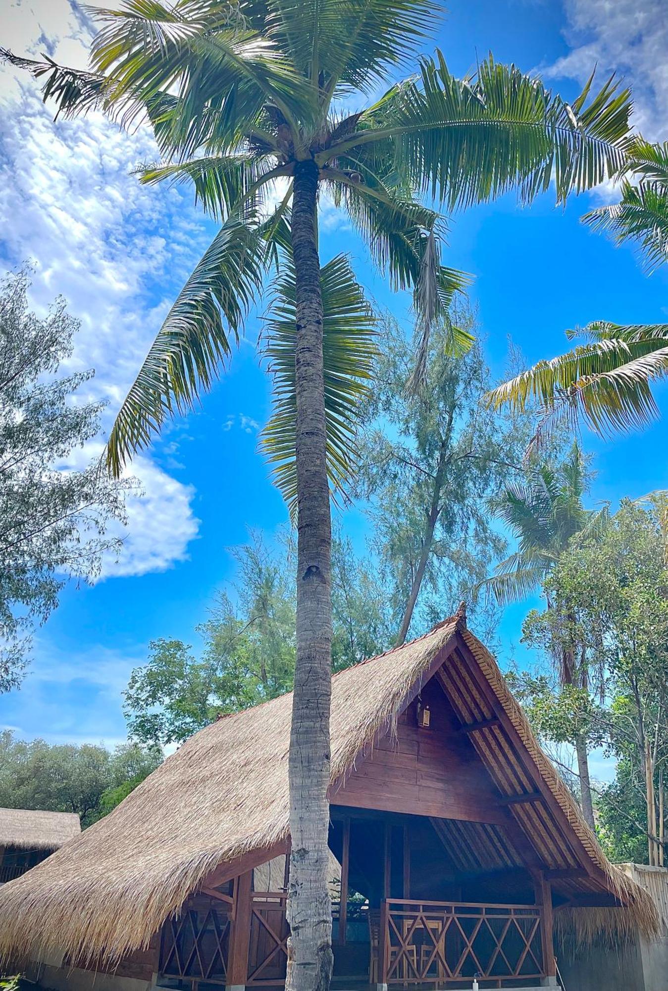Saja Cottage, Ilhas Gili Exterior foto